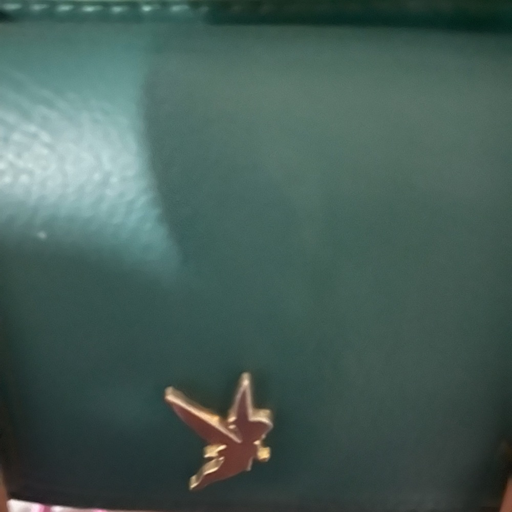 Peter Pan Loungefly View 2